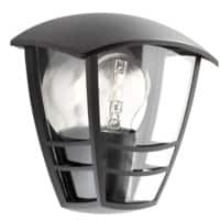 Philips Lamp Zwart 915002790302