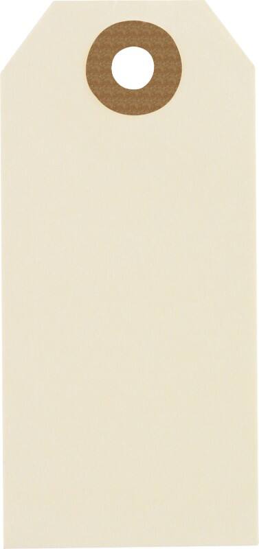 RAJA Hanglabels Karton Beige 5,1 x 10 cm 1000 Stuks