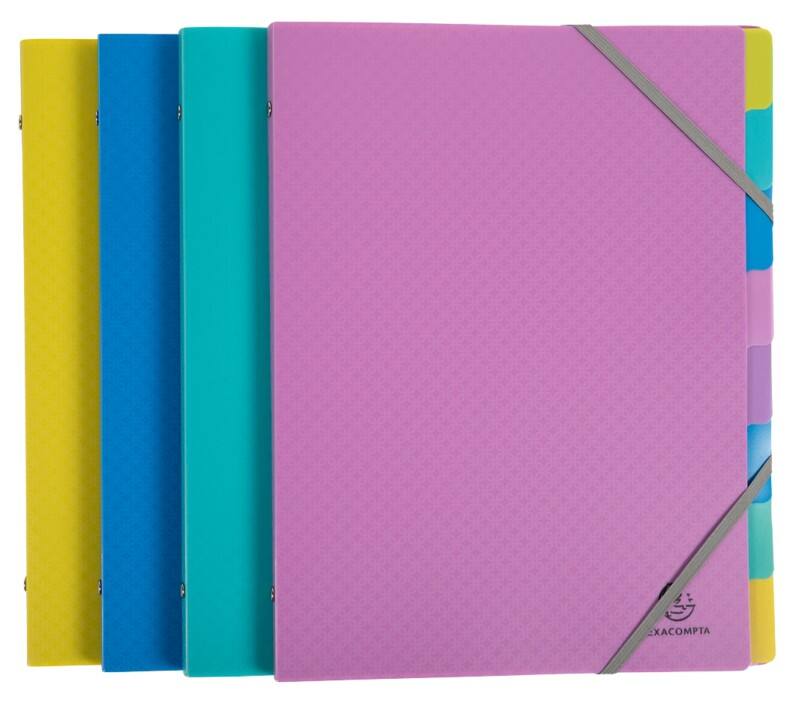 Exacompta Forever Young Sorteermap A4 PP (Polypropeen) Kleurenassortiment 24,5 (B) x 1 (D) x 32 (H) cm 8 Stuks 