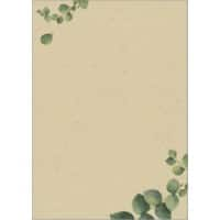 Sigel Eucalyptus Briefpapier Bruin 100 Vel