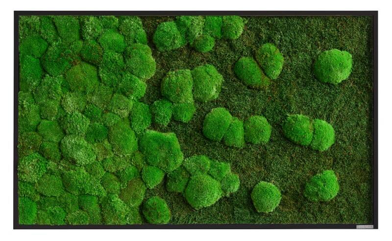 best of GREEN Mosschilderij 100 x 4 x 60 cm