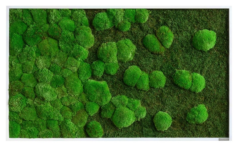 best of GREEN Mosschilderij 100 x 4 x 60 cm
