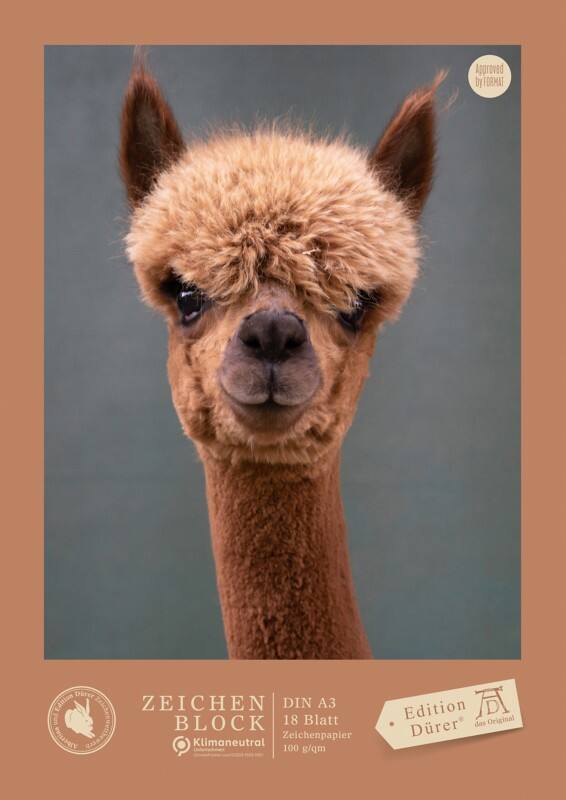 Staufen Edition Dürer Grafisch tekenblok A3 18 vellen 100 g/m² 4 motieven