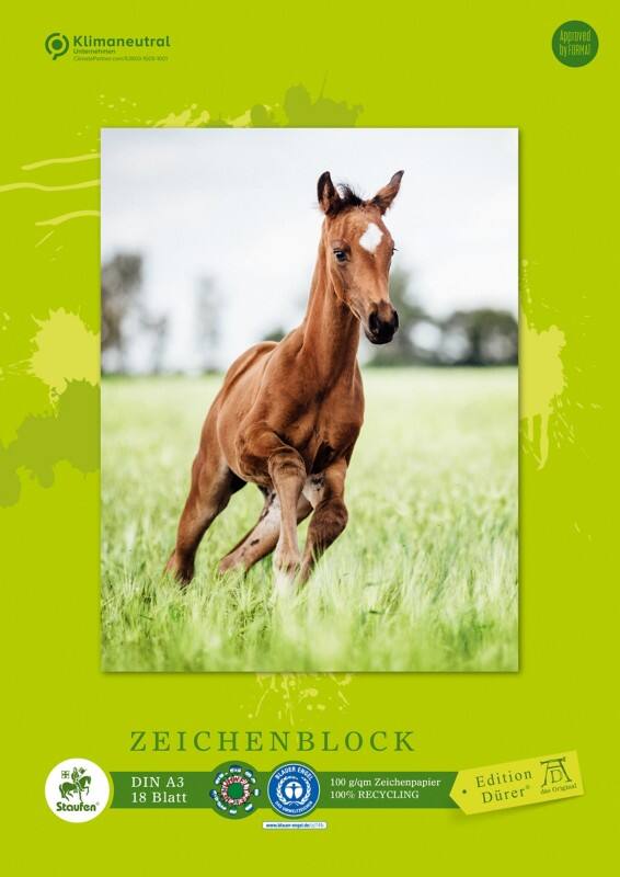 Staufen Dürer Green Grafisch tekenblok A3 18 vellen 100 g/m² 4 motieven Multikleur