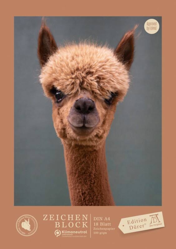 Staufen Dürer Grafisch tekenblok A4 18 vellen 100 g/m² 4 motieven Multikleur