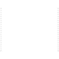 Exacompta Computerpapier 66411E 380 x 11" 70 g/m² 2000 Vellen