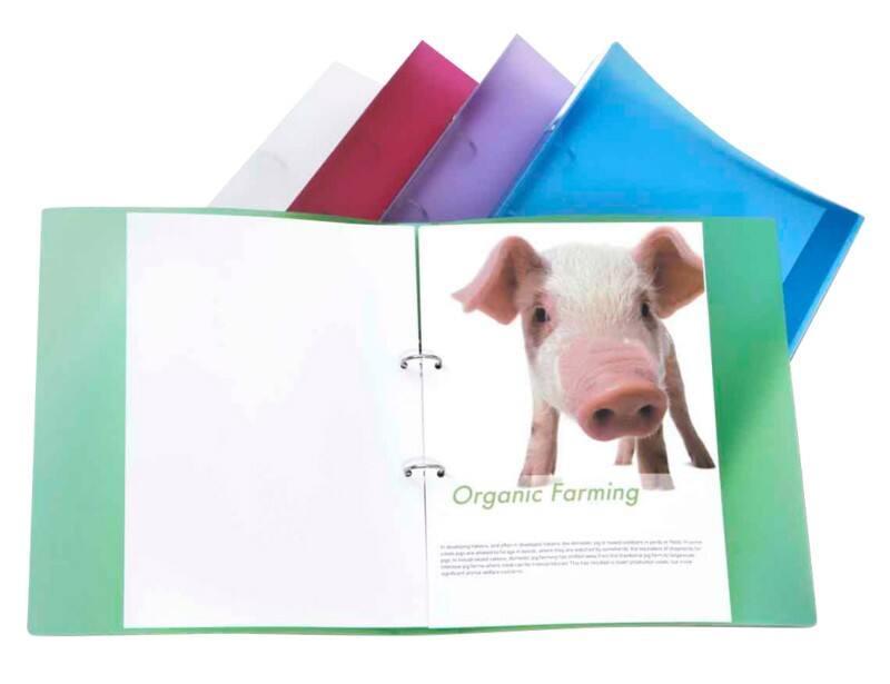 Rapesco 25 mm Ringband PP (Polypropeen) A4 2 Ringen Kleurenassortiment 10 Stuks