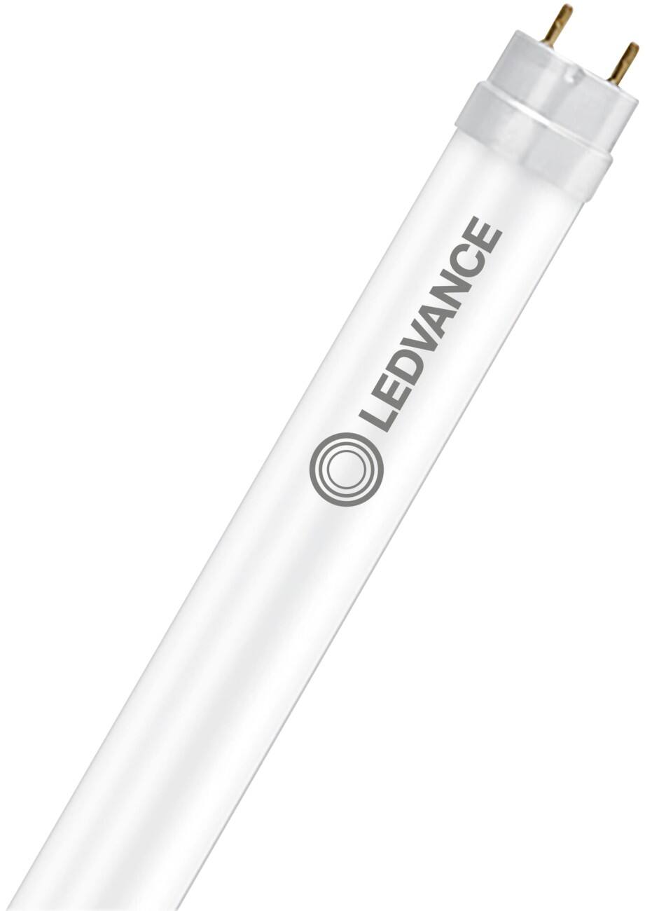 LEDVANCE Tl-buis Parelmoer G13 15 W Warm Wit 10 Stuks