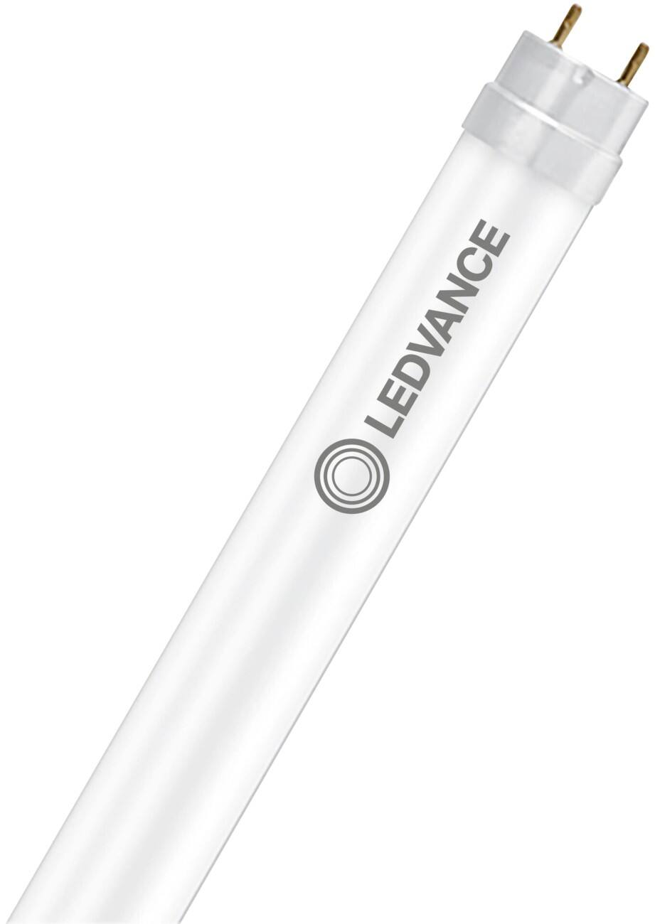 LEDVANCE Tl-buis Parelmoer G13 6,6 W Warm Wit 10 Stuks
