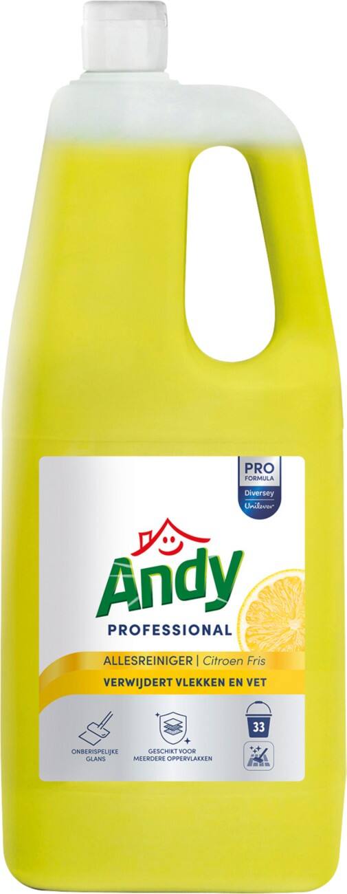 Andy Professional Allesreiniger Citroen 2 L