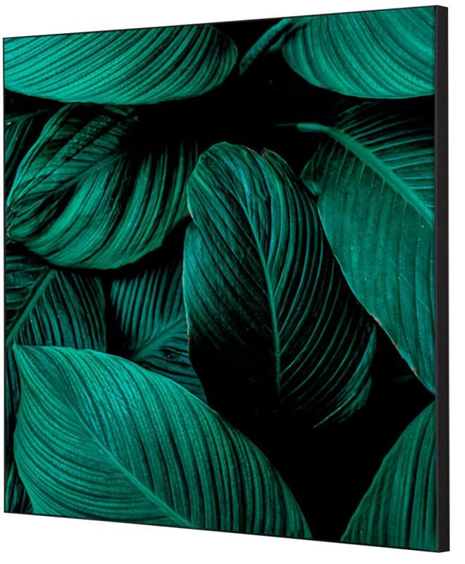 SHOWDOWN Botanical Leaves Textielen Wanddecoratie Multikleur Aluminium