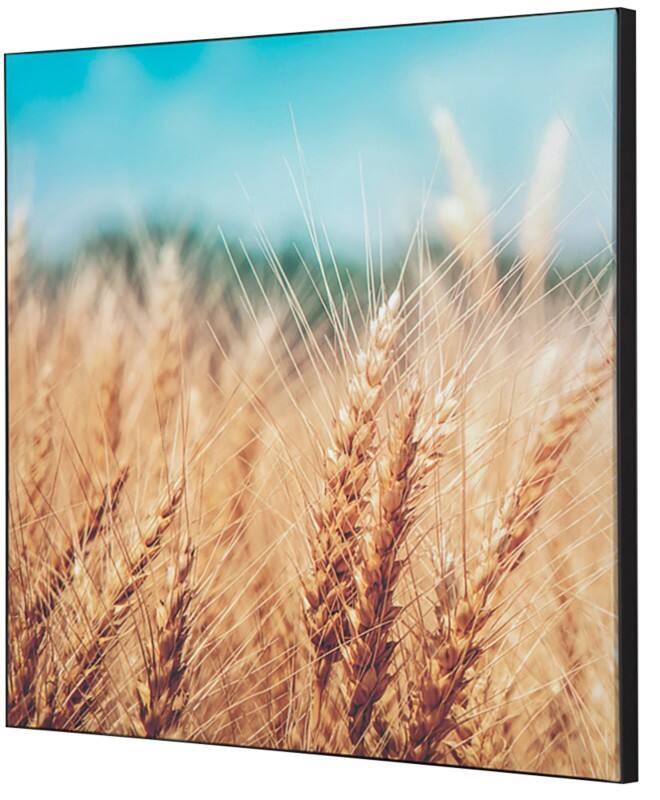 SHOWDOWN Grain Field Textielen Wanddecoratie Multikleur Aluminium