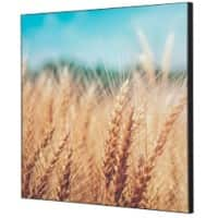 SHOWDOWN Grain Field Textielen Wanddecoratie Multikleur Aluminium