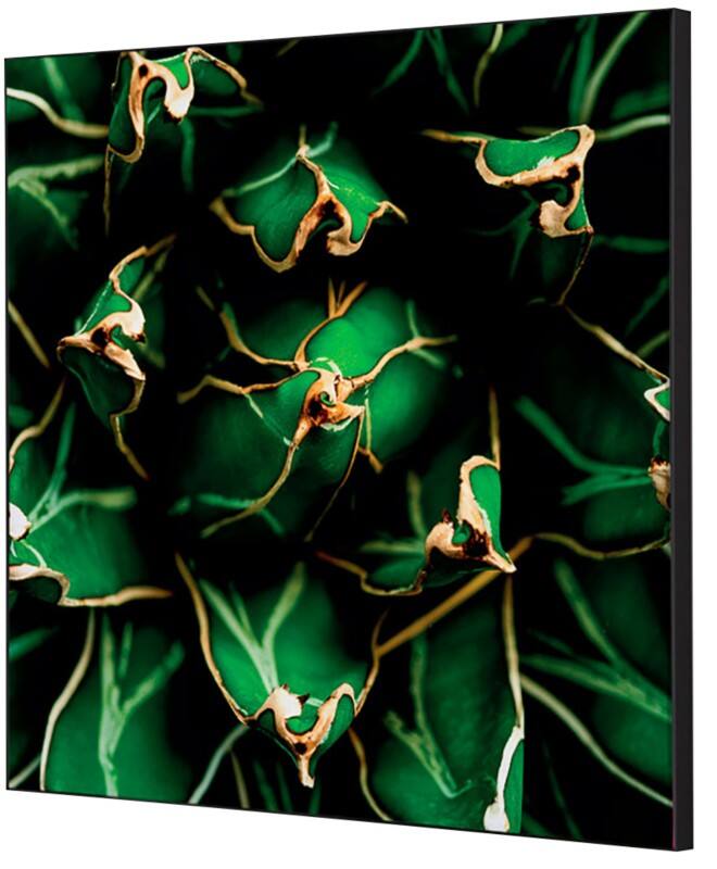 SHOWDOWN Cactus Textielen Wanddecoratie Multikleur Aluminium