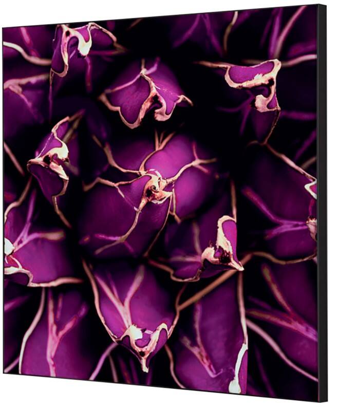 SHOWDOWN Cactus Textielen Wanddecoratie Multikleur Aluminium