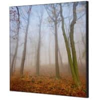 SHOWDOWN Autumn Mist Textielen Wanddecoratie Multikleur Aluminium