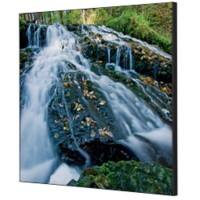 SHOWDOWN Waterspring Forest Textielen Wanddecoratie Multikleur Aluminium