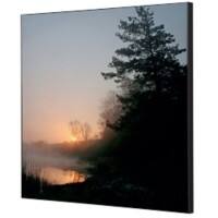 SHOWDOWN Forest Sunrise Textielen Wanddecoratie Multikleur Aluminium