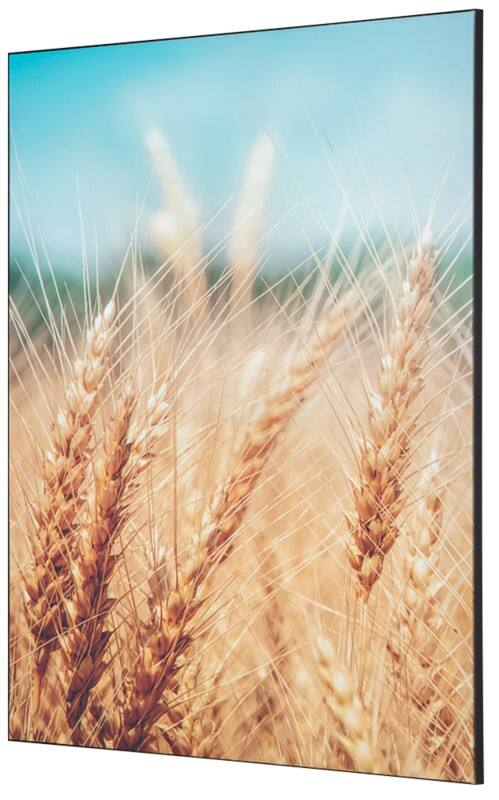 SHOWDOWN Grain Field Textielen Wanddecoratie Multikleur Aluminium