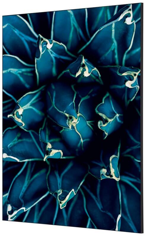 SHOWDOWN Cactus Textielen Wanddecoratie Multikleur Aluminium