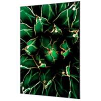 SHOWDOWN Cactus Textielen Wanddecoratie Multikleur Aluminium