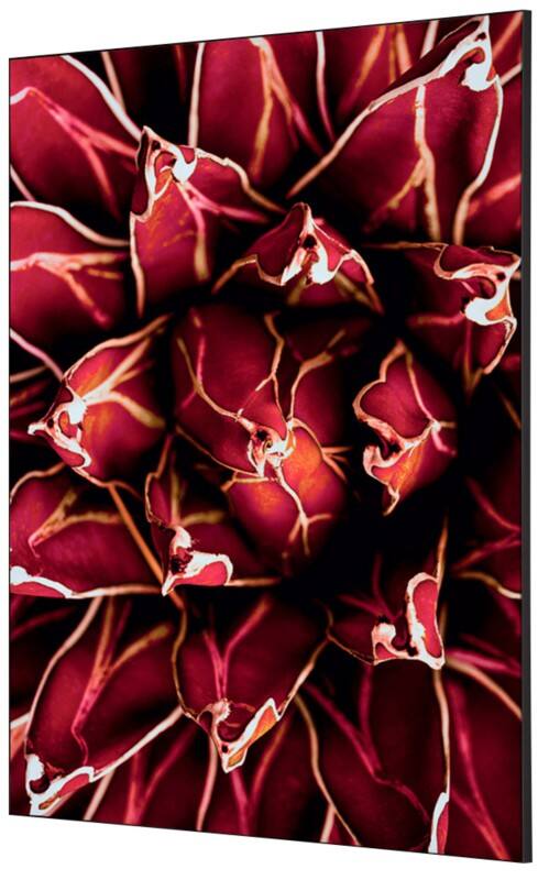 SHOWDOWN Cactus Textielen Wanddecoratie Multikleur Aluminium