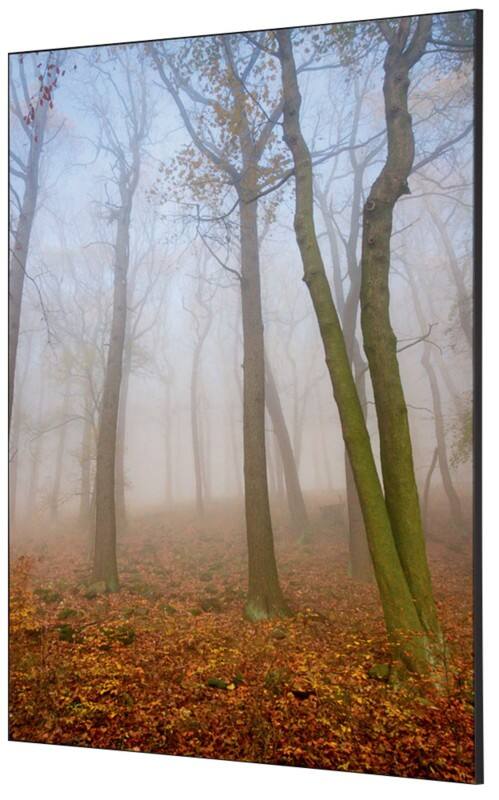 SHOWDOWN Autumn Mist Textielen Wanddecoratie Multikleur Aluminium