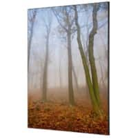 SHOWDOWN Autumn Mist Textielen Wanddecoratie Multikleur Aluminium