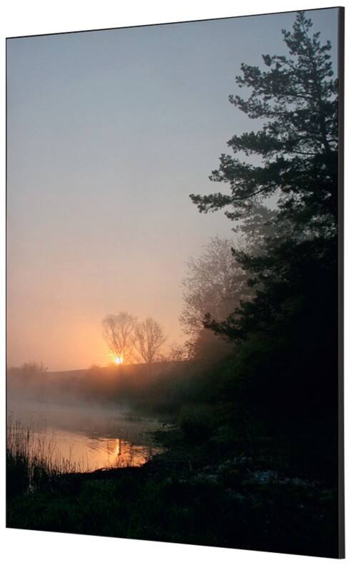 SHOWDOWN Forest Sunrise Textielen Wanddecoratie Multikleur Aluminium
