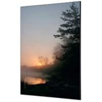 SHOWDOWN Forest Sunrise Textielen Wanddecoratie Multikleur Aluminium