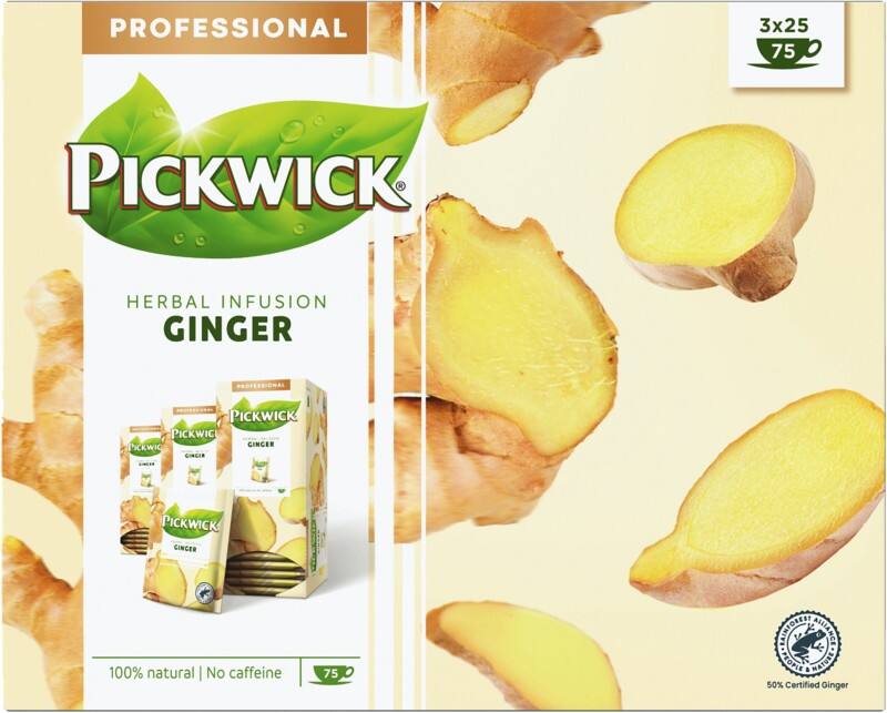 Pickwick Professional Herbal Infusion Thee Theezakjes Gember 25 stuks à 1,5 g
