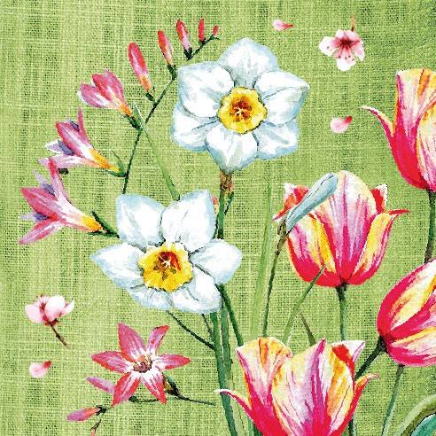 PAPSTAR Servetten Multikleur 50 stuks