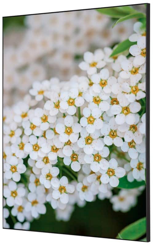 SHOWDOWN White Flower Textielen Wanddecoratie Multikleur Aluminium