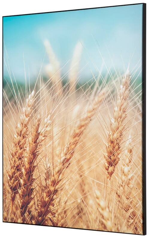 SHOWDOWN Grain Field Textielen Wanddecoratie Multikleur Aluminium