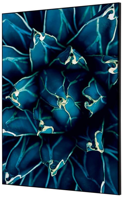 SHOWDOWN Cactus Textielen Wanddecoratie Multikleur Aluminium