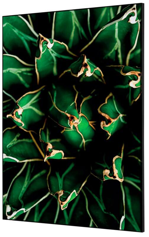 SHOWDOWN Cactus Textielen Wanddecoratie Multikleur Aluminium