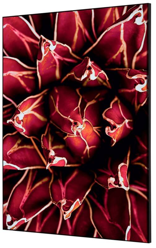 SHOWDOWN Cactus Textielen Wanddecoratie Multikleur Aluminium