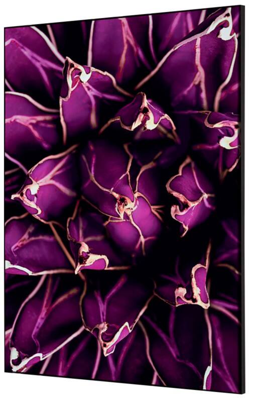 SHOWDOWN Cactus Textielen Wanddecoratie Multikleur Aluminium