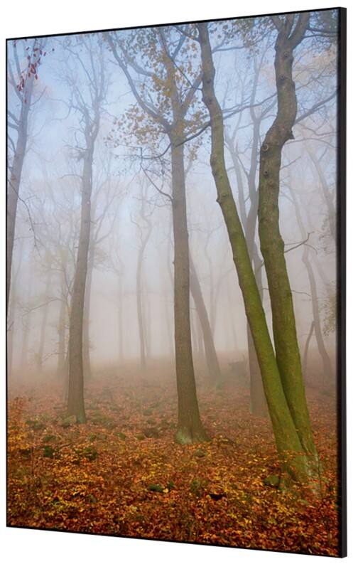 SHOWDOWN Autumn Mist Textielen Wanddecoratie Multikleur Aluminium