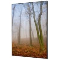 SHOWDOWN Autumn Mist Textielen Wanddecoratie Multikleur Aluminium