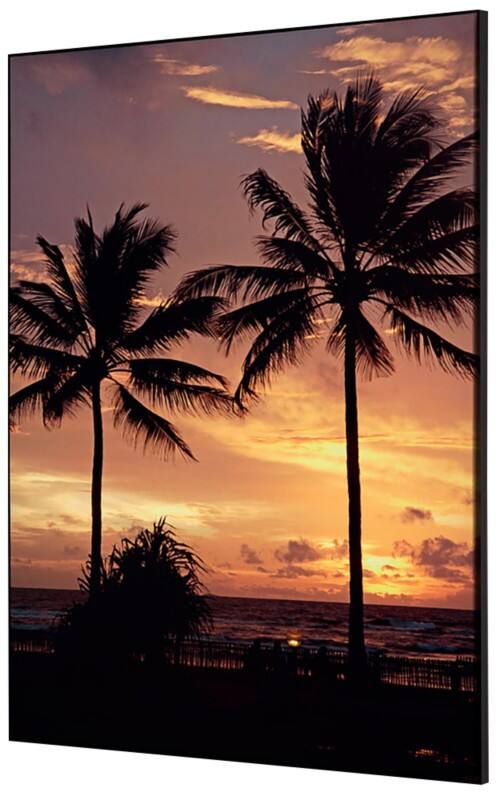 SHOWDOWN Palmtrees Sunset Textielen Wanddecoratie Multikleur Aluminium