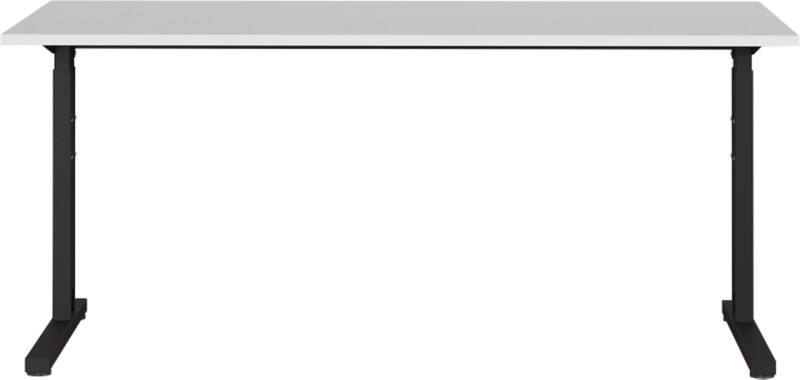 GERMANIA PROFI 2.0 In hoogte verstelbaar Bureau Lichtgrijs 1.600 (B) x 800 (D) x 800 (H) mm