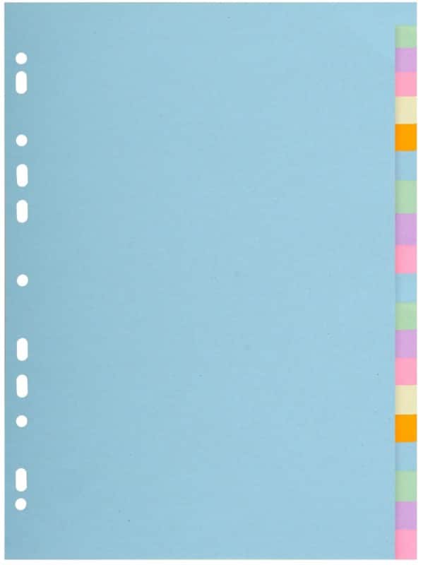 Exacompta Forever Blanco tabbladen Kleurenassortiment 20 tabs 170 g/m² Karton 2620E