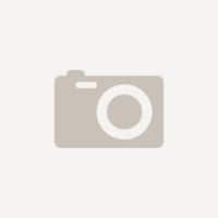 LG Monitor 34BR65F-B.AEU Zwart