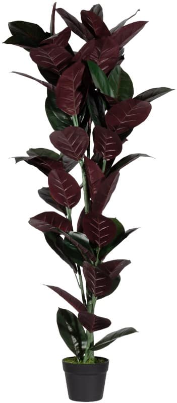 meet powered by PAPERFLOW Kunstplant Elastica 120 cm Groen