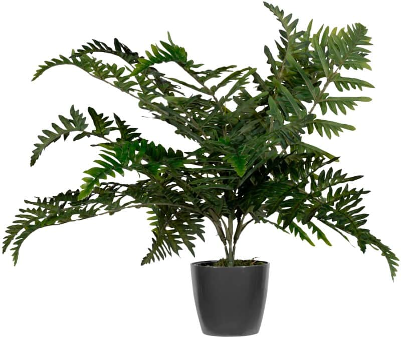 meet powered by PAPERFLOW Kunstplant Varen 55 cm Groen