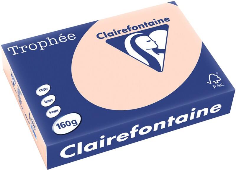 Clairefontaine A4 Gekleurd papier Zalmroze 160 g/m²  250 Vellen