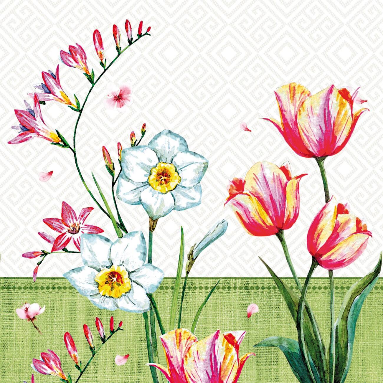 PAPSTAR Florentina Servetten Tissue Multikleur 33 x 33 cm 100 Stuks