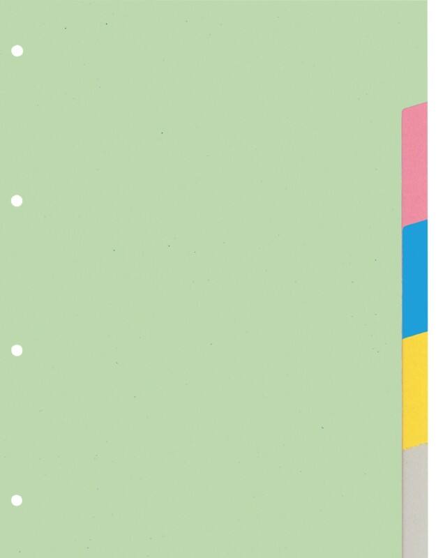 KANGARO Blanco tabbladen A4 Kleurenassortiment 10 tabs 180 g/m² Karton 4 Gaten PE405