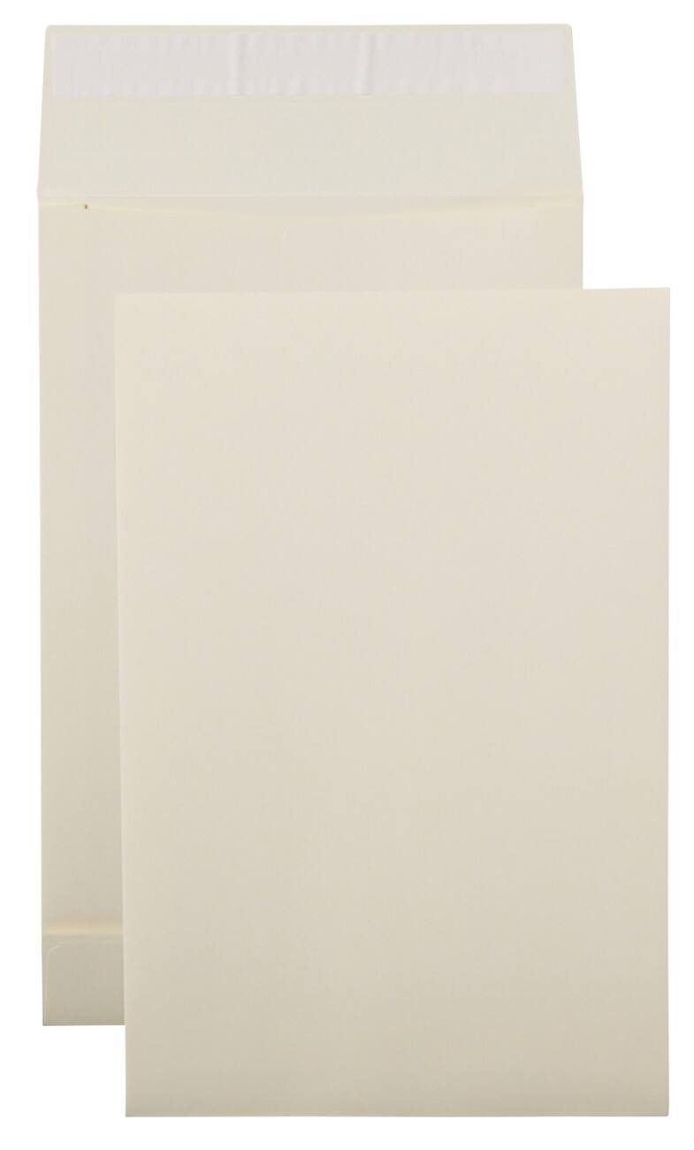 Office Depot Monsterzak enveloppen Niet standaard 170 g/m² Crème Zonder Venster Kleefstrip 230 x 350 mm 125 Stuks
